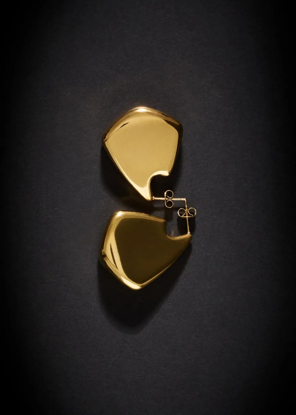 Sculpted oorbellen